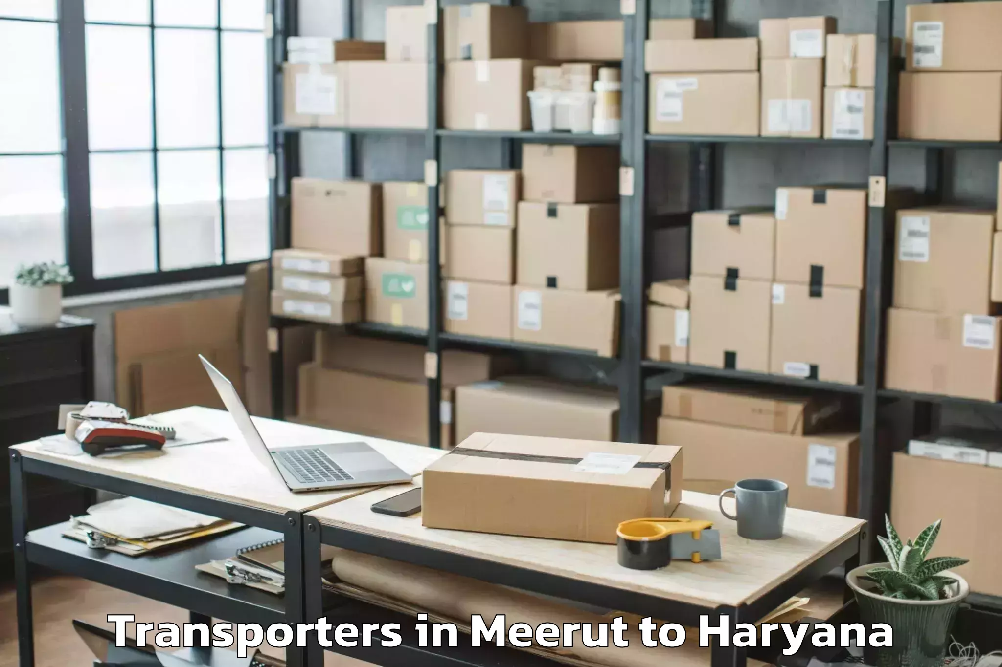 Easy Meerut to Tdi Mall Sonipat Transporters Booking